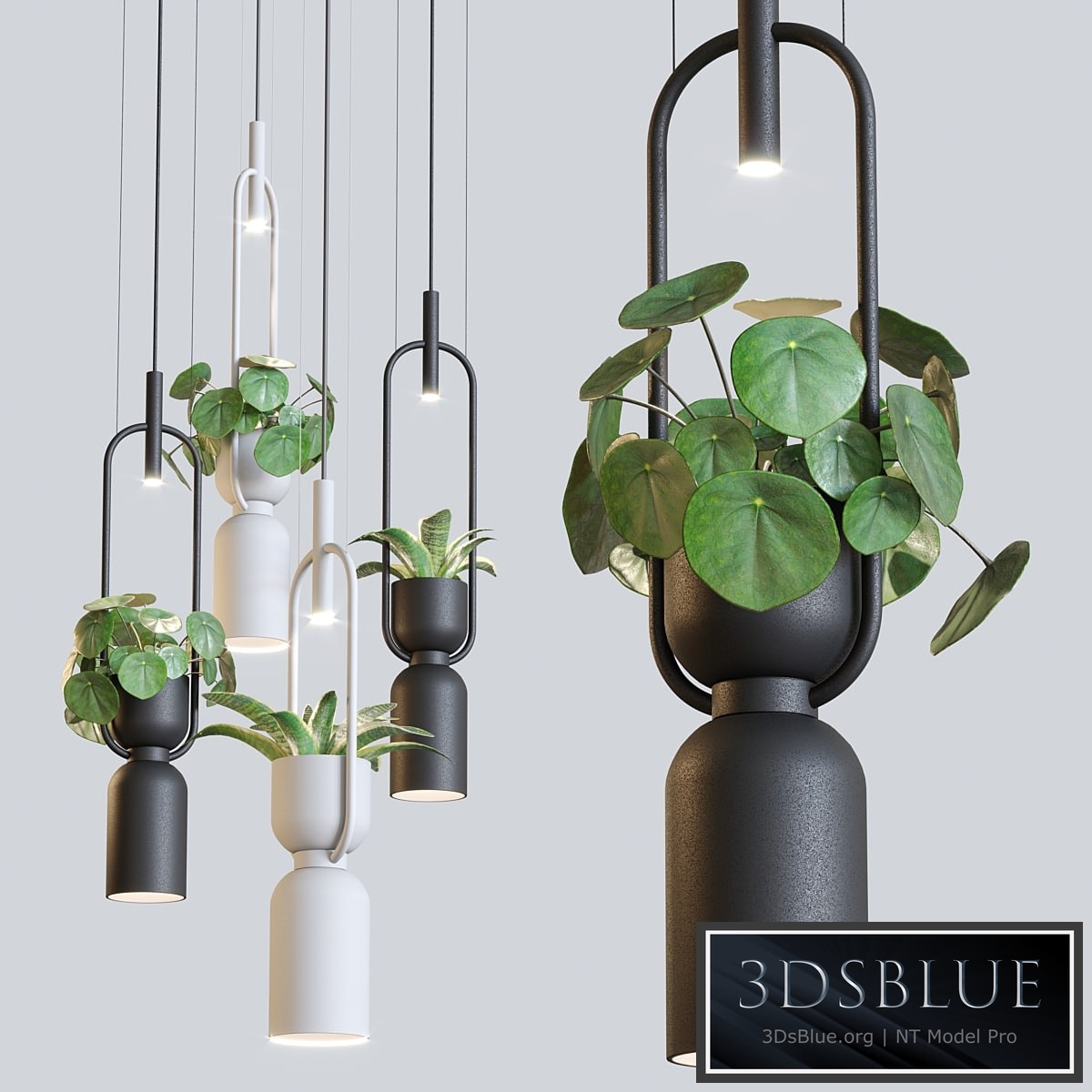 Pendant lamp luxcambra OXYGEN