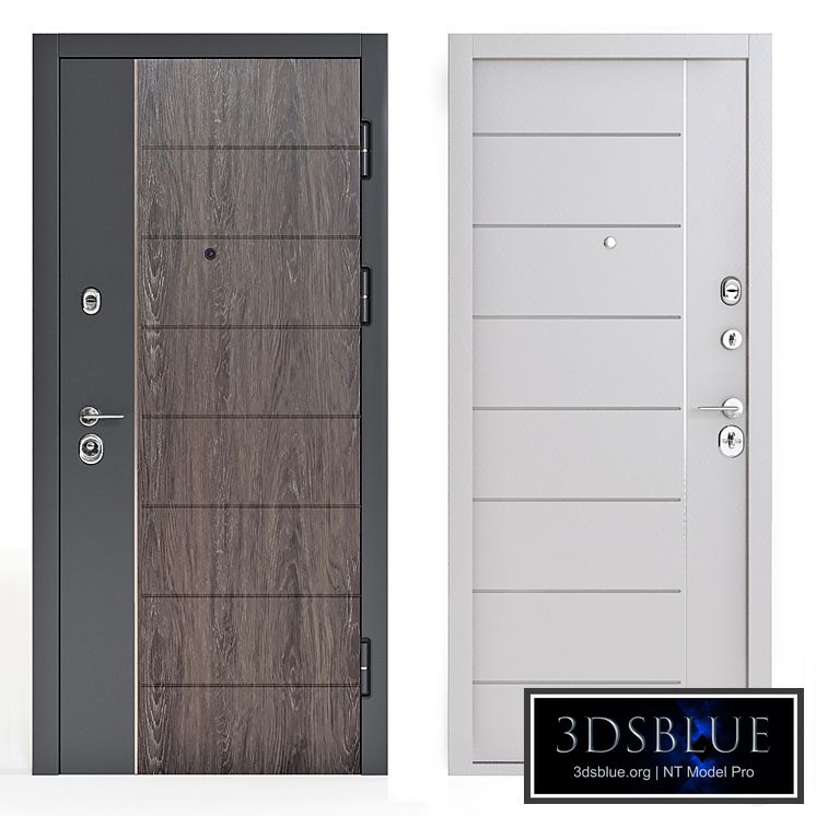 Modern entrance door 2