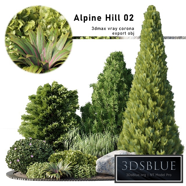 Alpine hill 020202