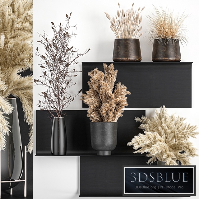 Bouquet 119. Pampas grass, branches, vase, reeds, dried flowers, metal shelf, shelf with flowers, bouquets, dried flowers, dry, natural decor, eco design, loft