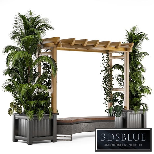 Outdoor Plants on Pergola - Garden Set 138