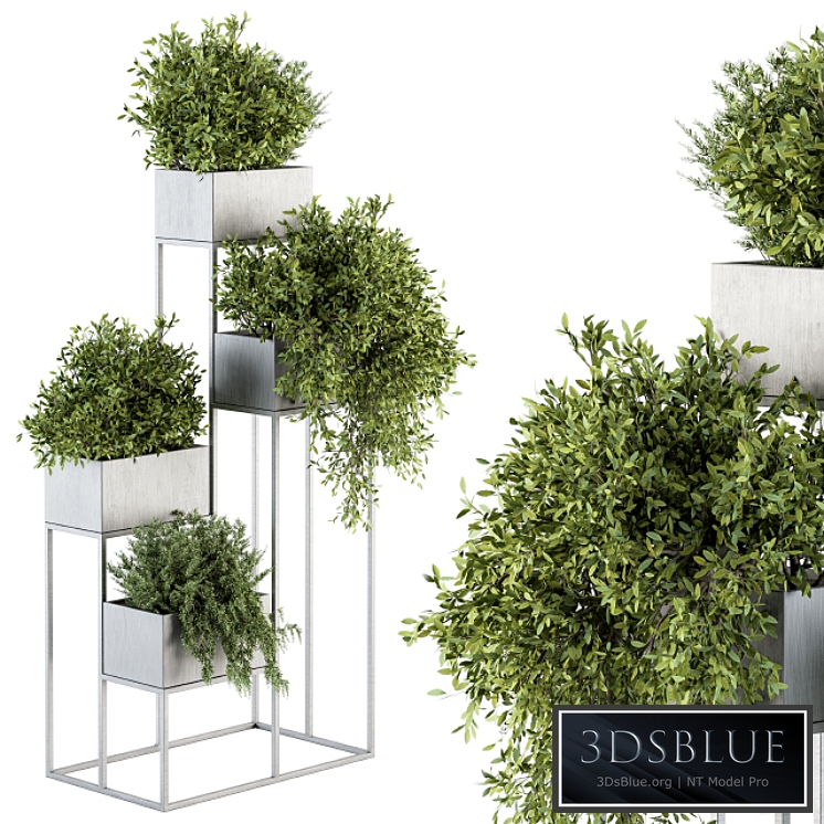 indoor Plant Set 213 - Silver Plant Stand 