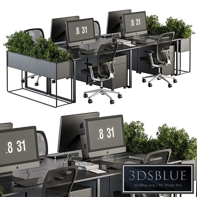 Office Furniture - employee Set - Plants Box Divider 34