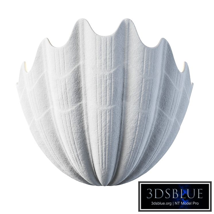 Plaster Shell Uplighter by Rose Uniacke