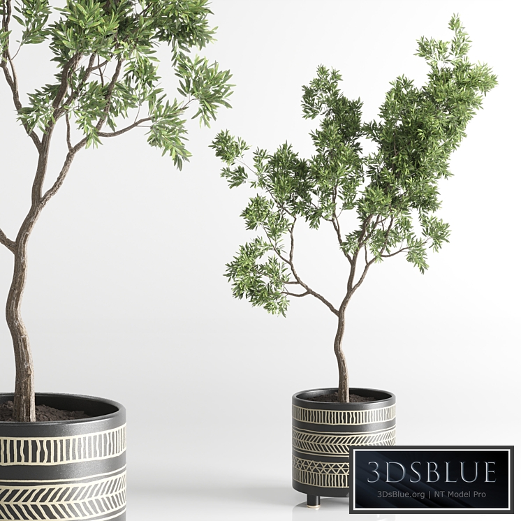 Indoor plant 56 vase handmade pottery plant tree pot