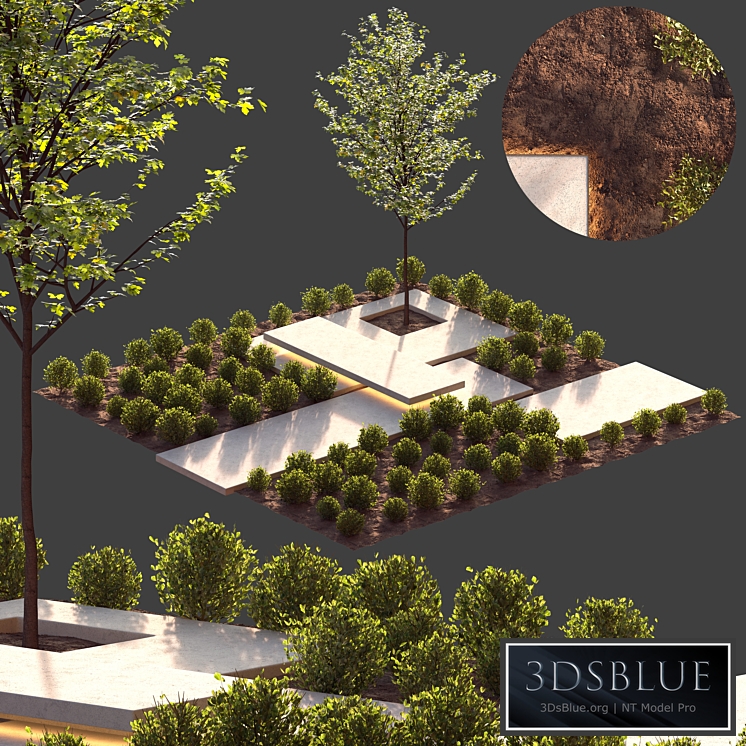 landscape design