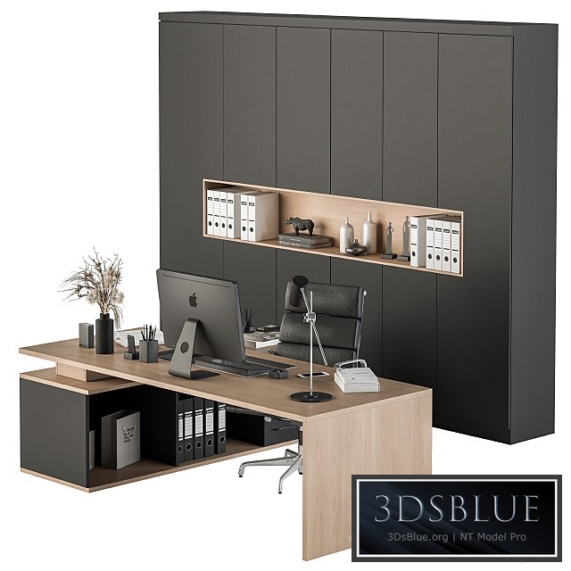 Office Furniture - Manager Set 25