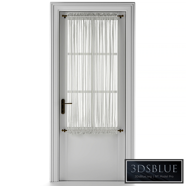 Entrance door with curtain