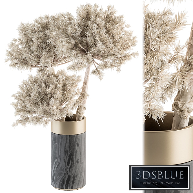 Dry plants 79 - Dried Plants in Black and Gold Vase