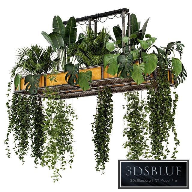 Indoor Hanging Plants in Metal Box - Set 146