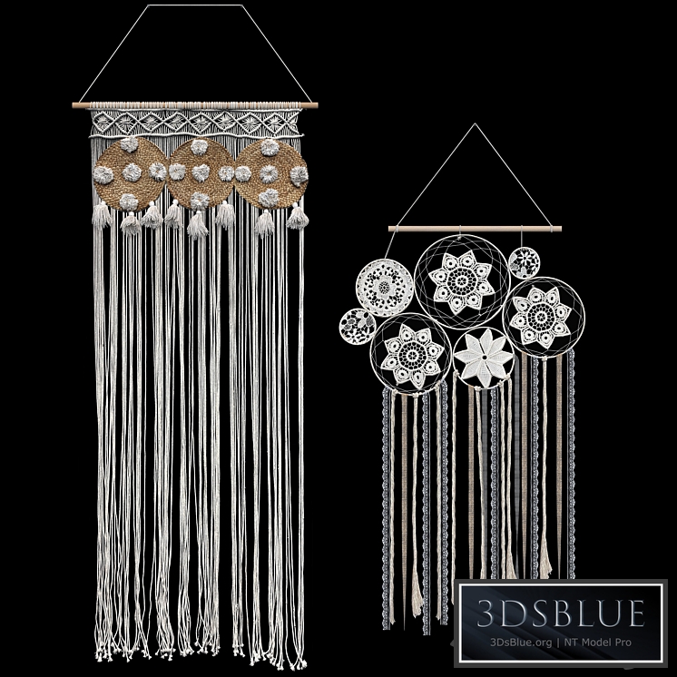 Macrame set. Dream Catcher. 2 models