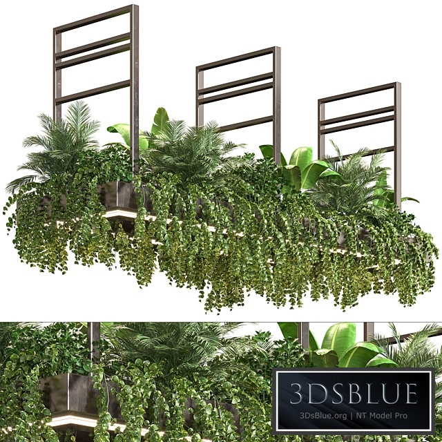 Indoor Plant Vol2 - hanging pot Vol2