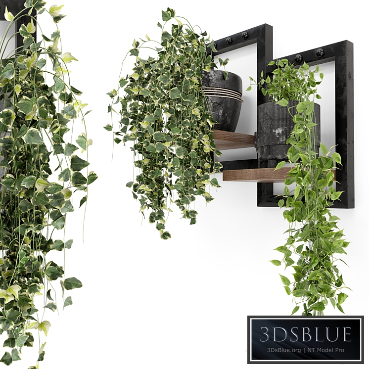 Indoor Plants in rusty Concrete Pot - Set 150