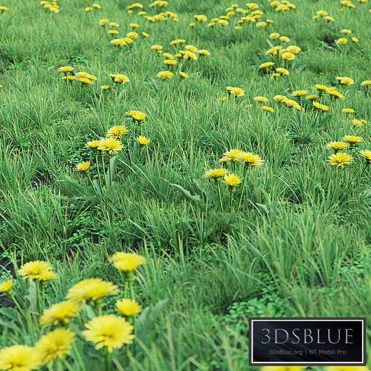 Grass set 01 - Dandelion
