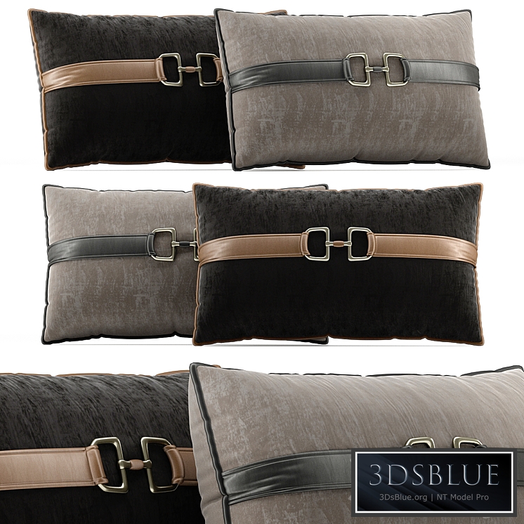 Decorative Pillow # 6