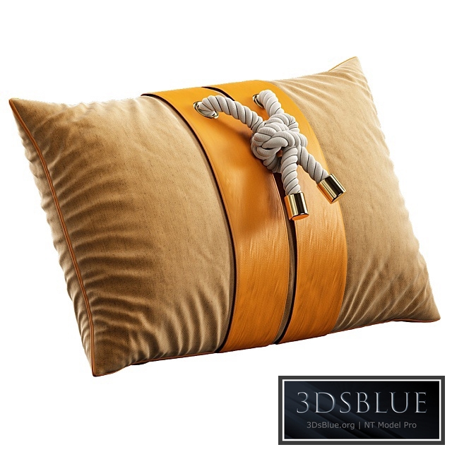 Decorative Pillow # 11