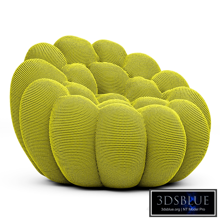 Bubble Armchair Roche Bobois