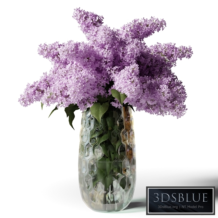 Bouquet of lilacs in a modern tall vase