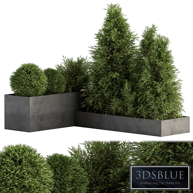 Outdoor Plant Set 231 - Plant Box with Tree