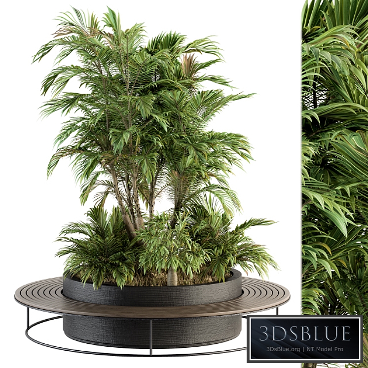 Urban Furniture / Architecture Bench with Plants- Set 16