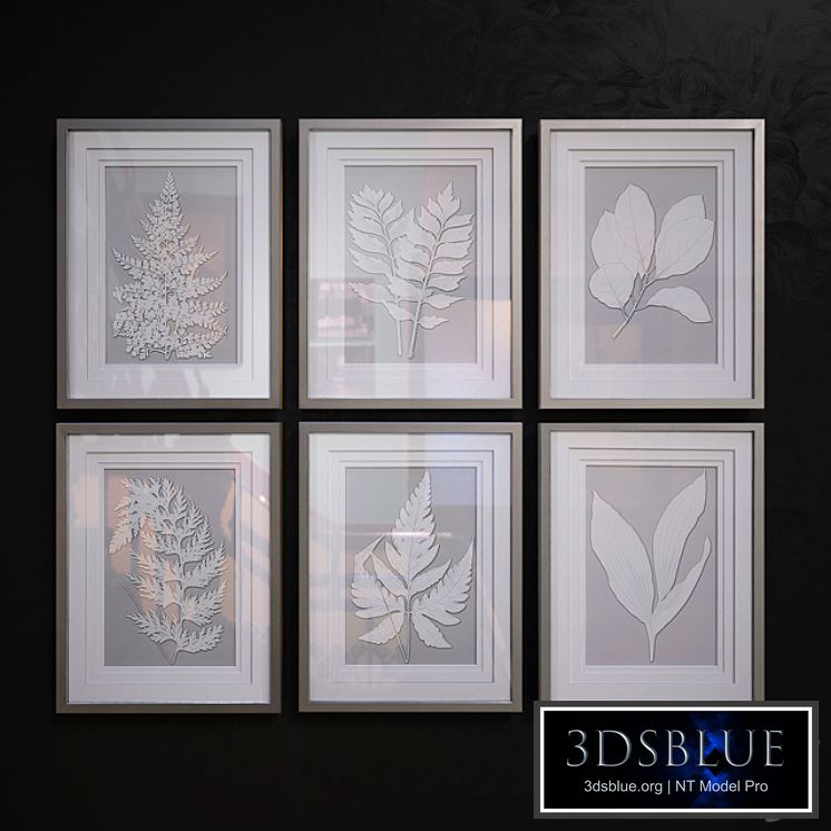 Moonlight Ferns pictures