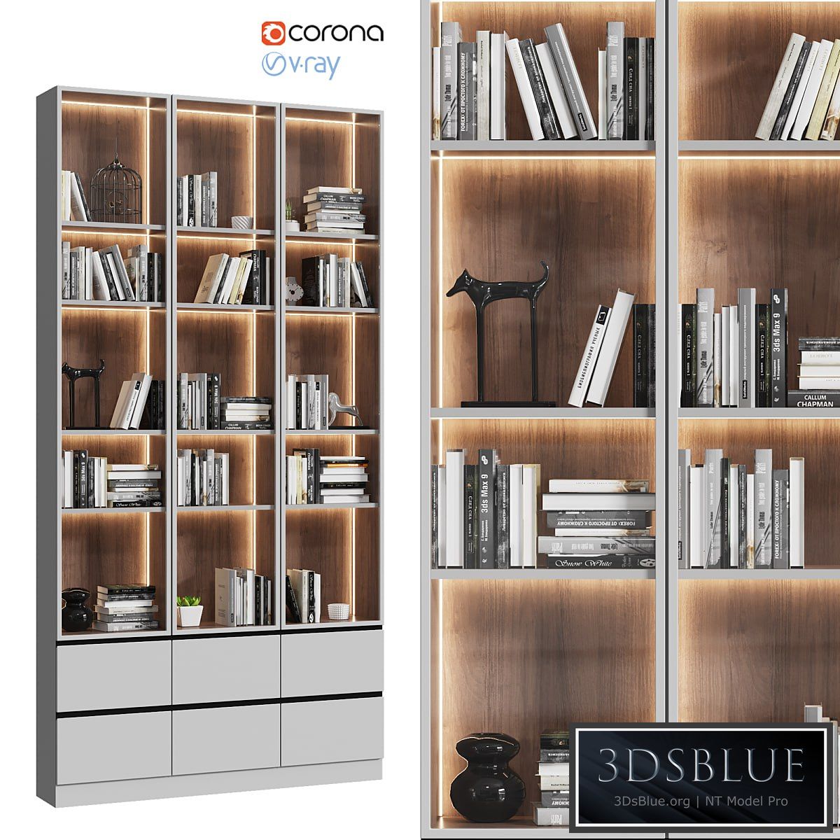Showcase cabinet with books