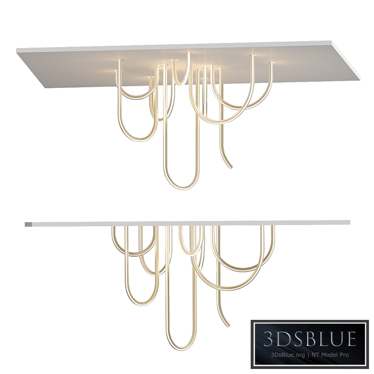 Mathieu lehanneur les cordes