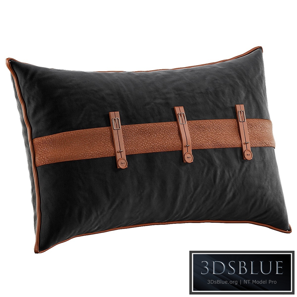 Decorative Pillow # 26