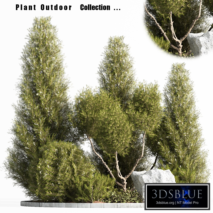 plant outdoor set 05