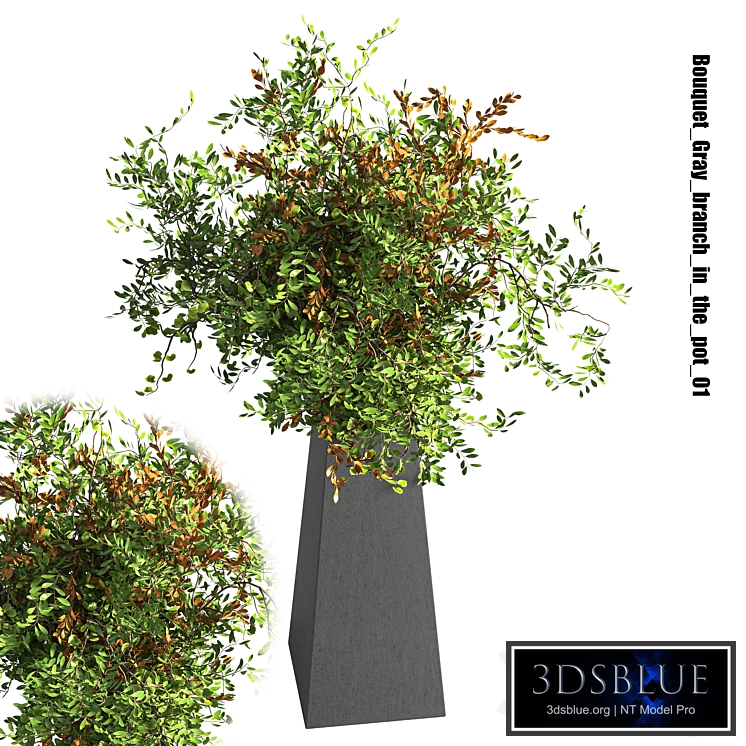 Bouquet Gray branch in the pot 01