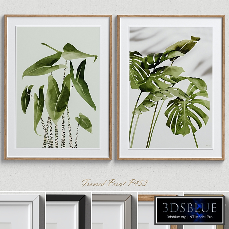 Framed Print P-453