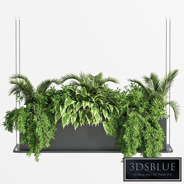 Indoor_Plant_Set_32_ (Hanging_Plants)