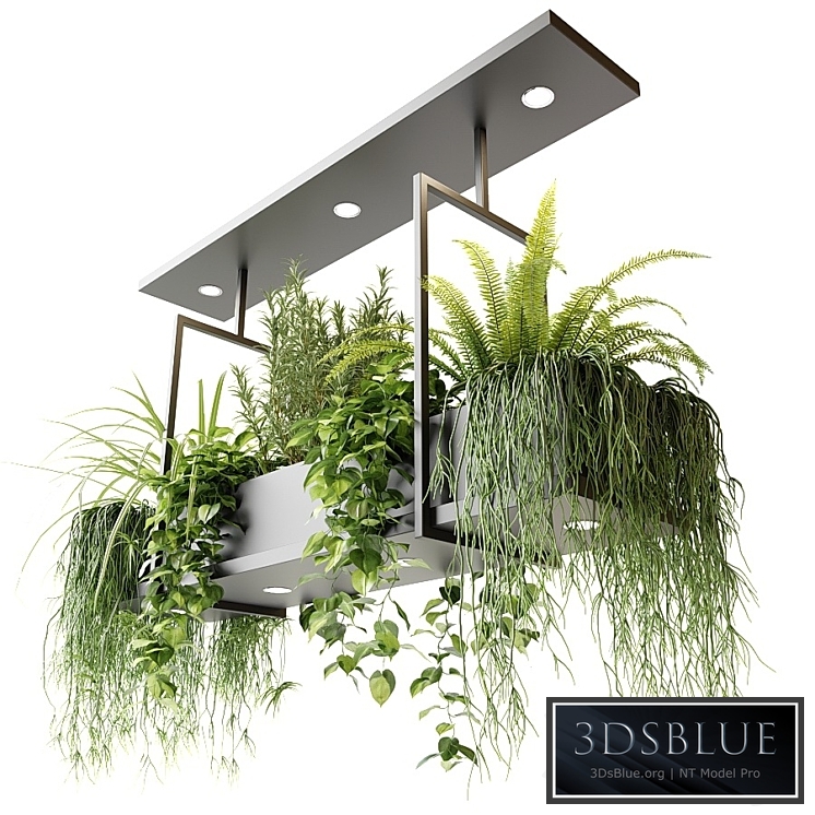 Suspended luminaire with plants OSLO