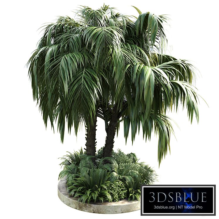 Collection Outdoor plant 39 in garden pot tree palm bush fern concrete dirt old vase