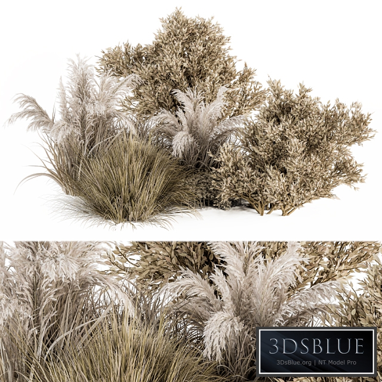Dried Wild Plants Bush - Bush Set 36