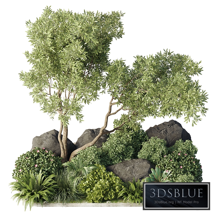 Collection 40 outdoor and indoor pot plant & tree & bush & fern the garden set pot PRO 7 $ 197