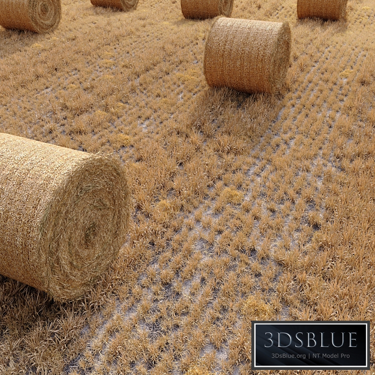 Farm field with hay bale