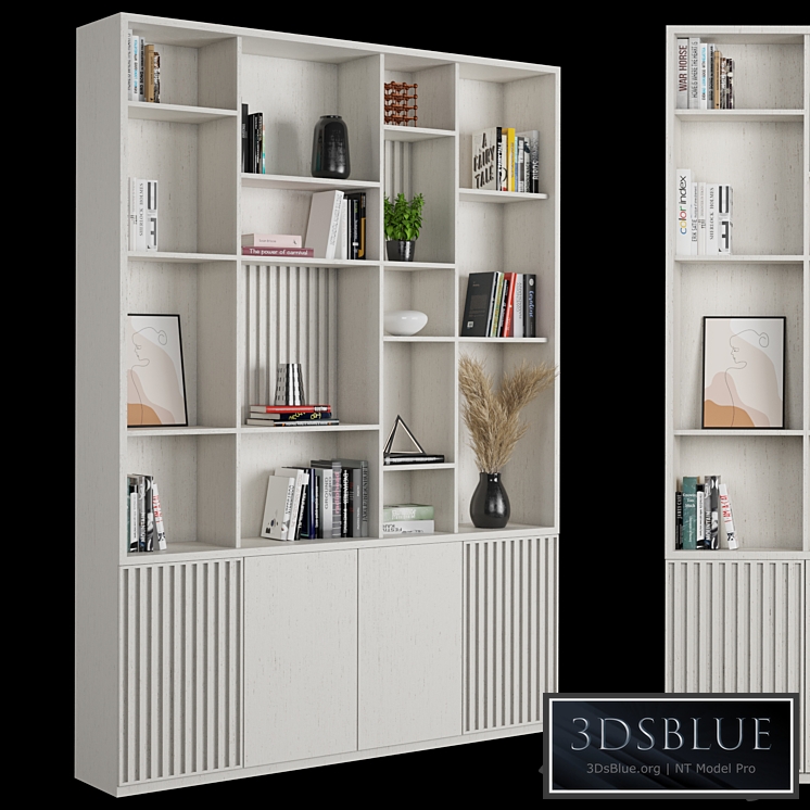 Rack and Bookcase 09