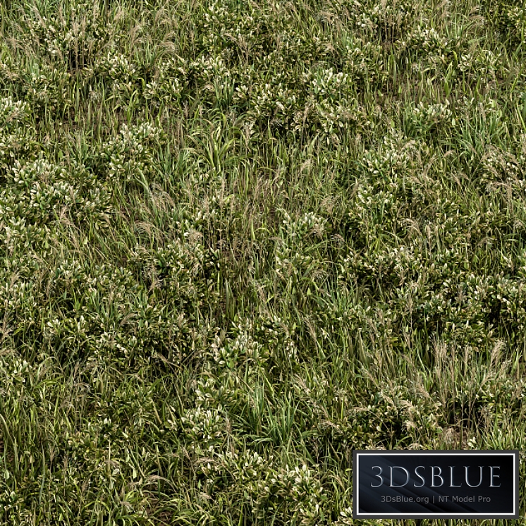 Wild Grass Green - Grass Set 01