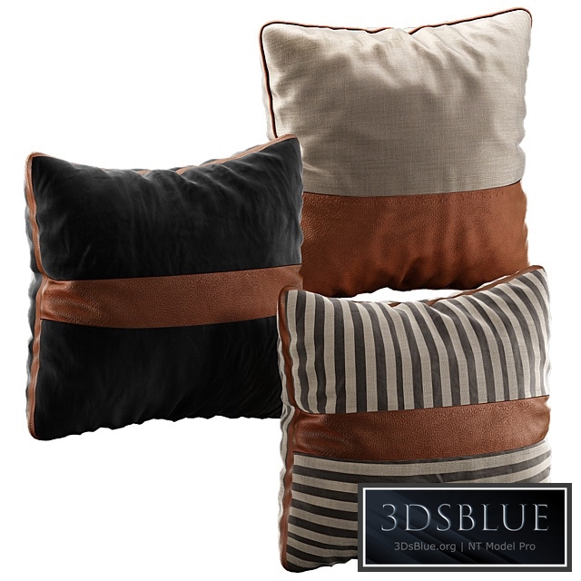 Decorative Pillow # 35
