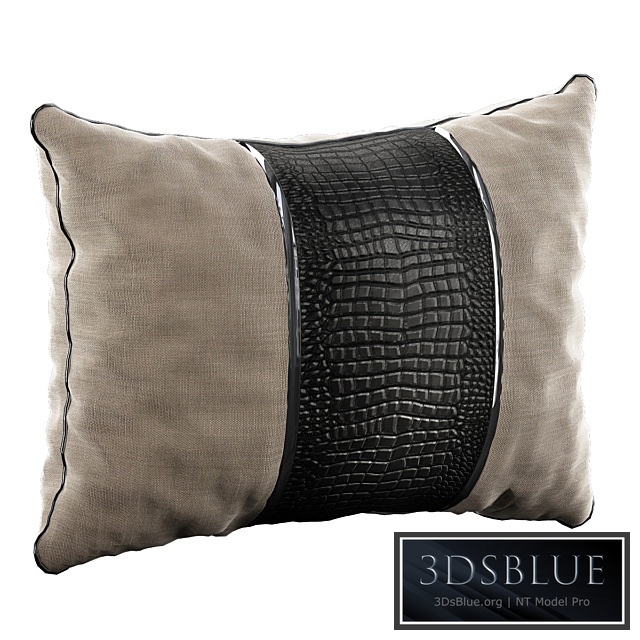 Decorative Pillow # 39