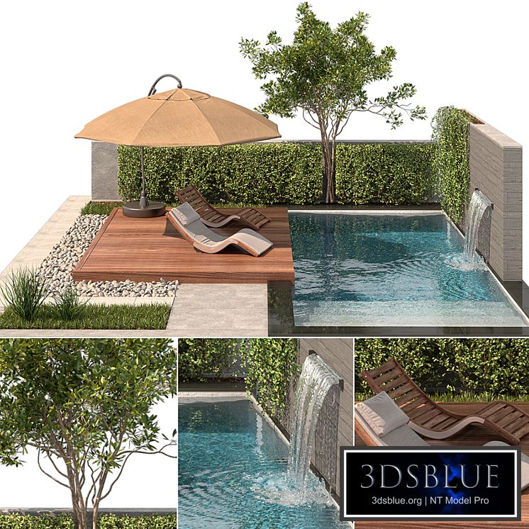 Backyard with Pool & plants & Furniture