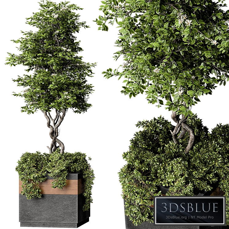 Outdoor Plant Set 01