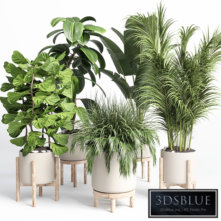 collection indoor plant 73 pot grass palm plant wood vase pot