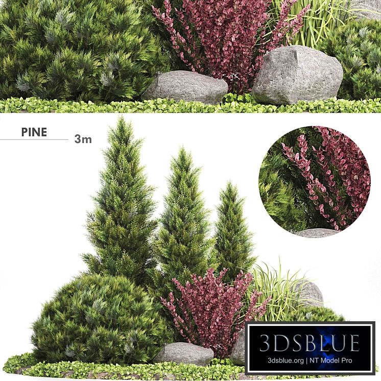 Set Plants 223 - Outdoor Garden