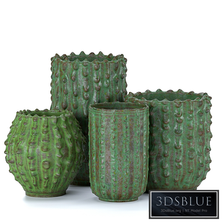 Decorative vases Cactus