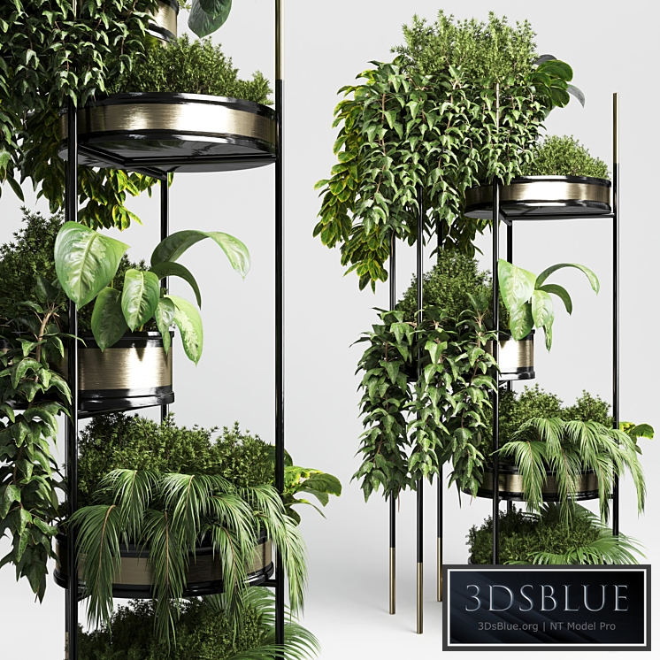 collection Indoor plant plant stairs stand metal vase 10