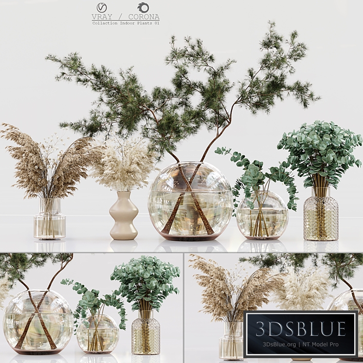 Collection Indoor Plants 01