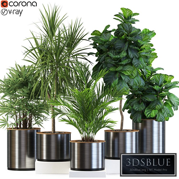 Plants collection 550