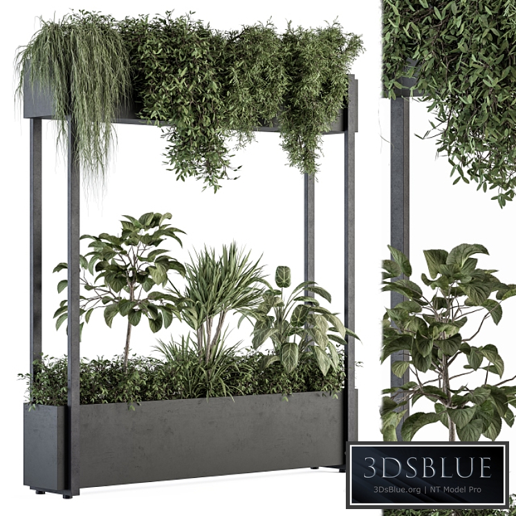 indoor Plant Set 258 - Plant Box Stand